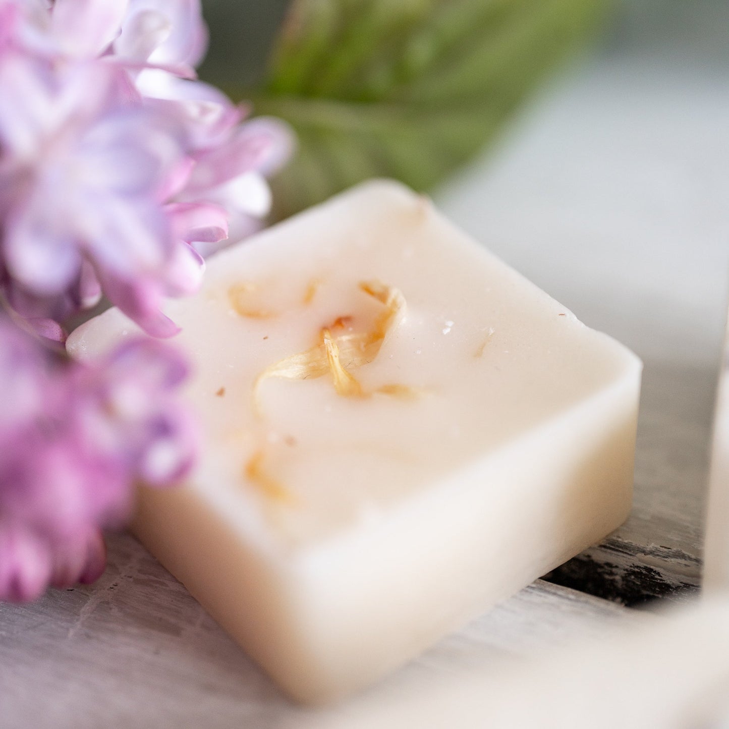 WHITE LABEL Wax Melt Botanicals 6pk